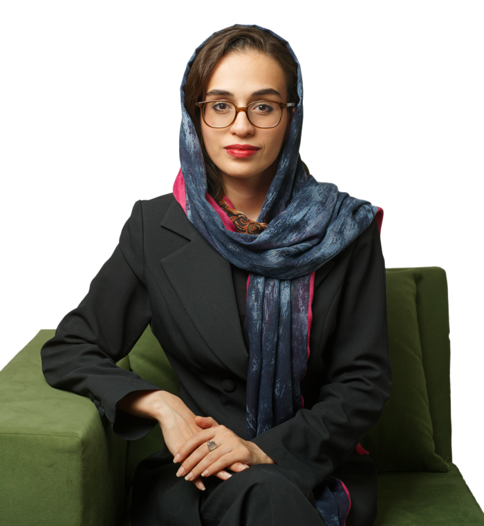 مهشید بزرگ- مشاور سیستم سازی